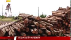 Питання мораторію. Не позбавляти можливості розвитку