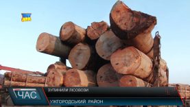 Протестами проти вирубок. Сподіваються знати порозуміння