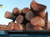 Проти вирубки лісу. Активісти перекрили дорогу щоб зупинити лісовози