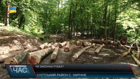 Рубка лісу у селі Зарічн