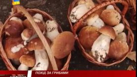 Сезон тихого полювання