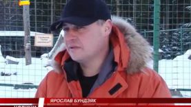 Синевирські ведмеді у сплячці