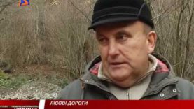 Стан лісових доріг на Закарпатті