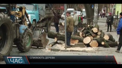 У Мукачеві озеленюють вулиці, на це з бюджету міста планують використати майже 4 з половиною мільйони гривень