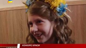 У Виноградові обирали міні-модель