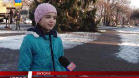 У Виноградові встановили святкову ялинку