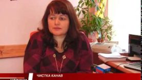 В селі Тарасівка на Тячівщині вздовж дороги узбіччя захаращені