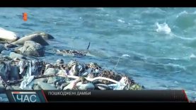 В Усть-Чорній на Тячівщині розмило дамби після паводку