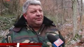 Виїзне засідання.  Догляд та спостереження