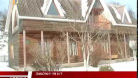 Законно чи ні ? Експорт деревини