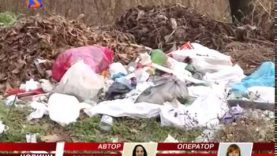 Засмічена дамба на Тячівщині