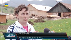 Жити біля пилорами