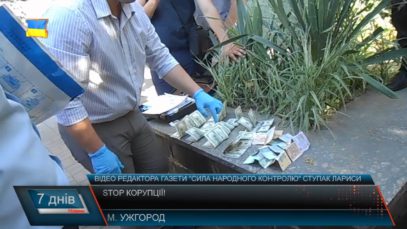 Без неї ніяк. Корупційні справи