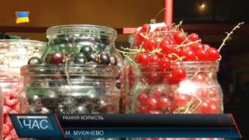 Корисні ягоди