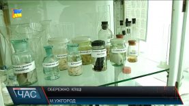 Обережно: кліщі