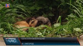 Підписання меморандуму