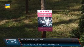 Рідкісні рослини в дендропарку Ужгородського лісгоспу