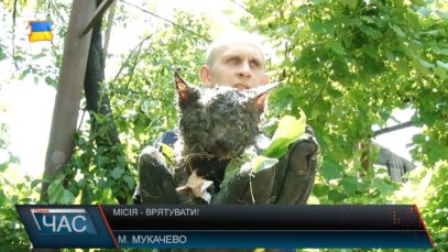 Рятували кошеня