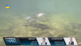 Форелеве господарство