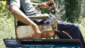 Новий візок – розкіш?