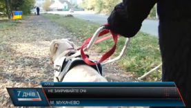 Проблеми слабозорих