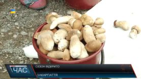 Сезон тихого полювання