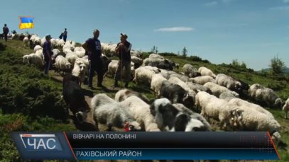 Вівчарі на полонині