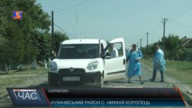 Африканська чума на свиней Мукачівщині