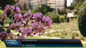 Ботанічний сад