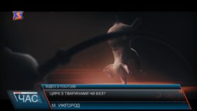 Цирк без тварин