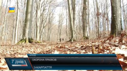 Охорона пралісів