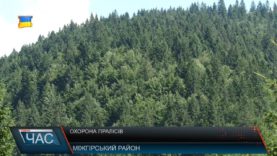 Охорона пралісів