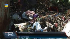 Сміття посеред міста Берегова