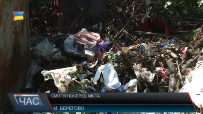 Сміття посеред міста Берегова