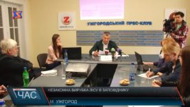 Незаконна вирубка лісу в заповіднику