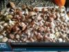 Сезон грибів у розпалі