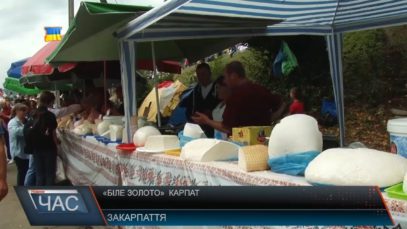 «Біле золото» Карпат