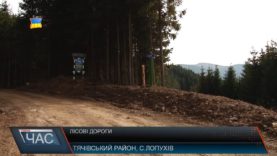 Лісові дороги