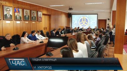 Робочий візит