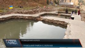 Розведення форелі на Закарпатті