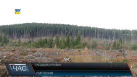 Стихія повалила дерева на Рахівщині