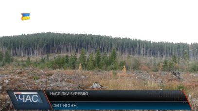 Стихія повалила дерева на Рахівщині