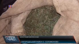 5 кг марихуани знайшли в ужгородця