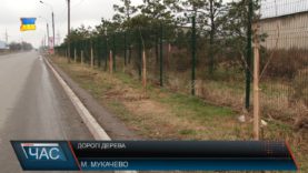 Дерева майже за мільйон