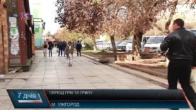 Період ГРВІ та грипу