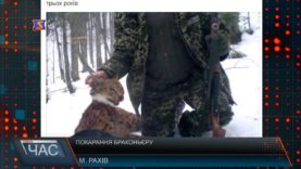 Правоохоронці “взялися” за лісничого-браконьєра з Рахівщини