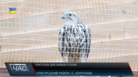 Притулок для хижих птахів