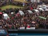 Протестують лісівники