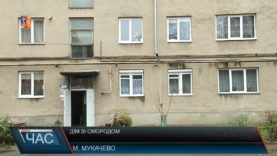 Сморід в одній із мукачівських багатоповерхівок докучає місцевим мешканцям