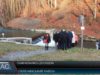 Водники Словацької республіки та України обмінювались досвідом